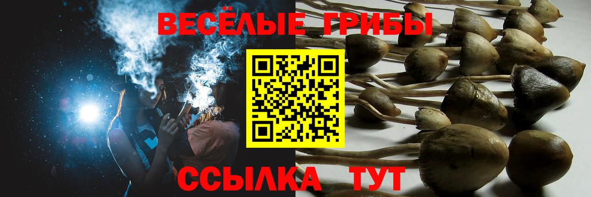 Радужный  Галлюциногенные грибы Magic Shrooms  Вход с VPN  Галлюциногенные грибы Magic Shrooms 